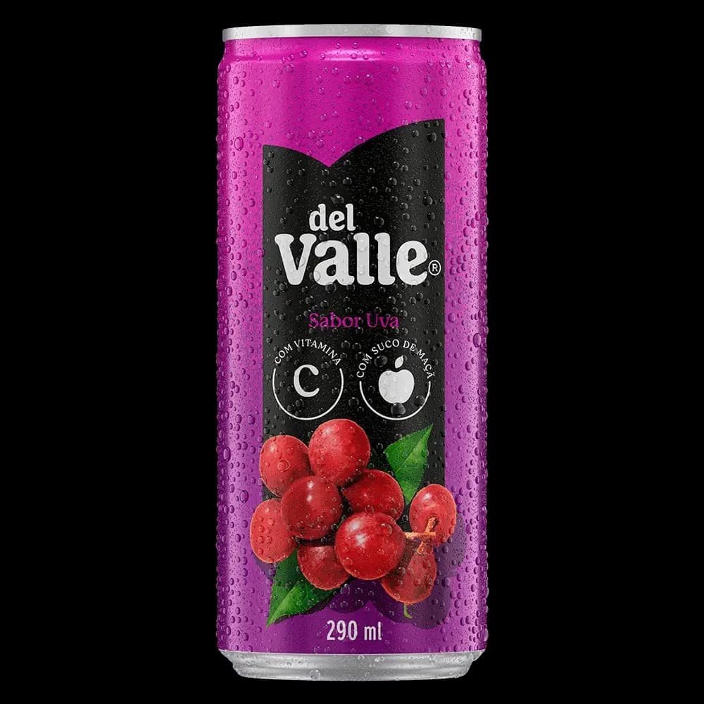 NECTAR DEL VALLE 290ML MANGA
