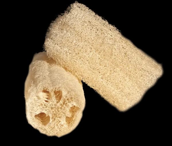 BUCHA VEGETAL JF PEDACO 2UN