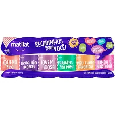 LEITE FERMENTADO MATILAT 480G
