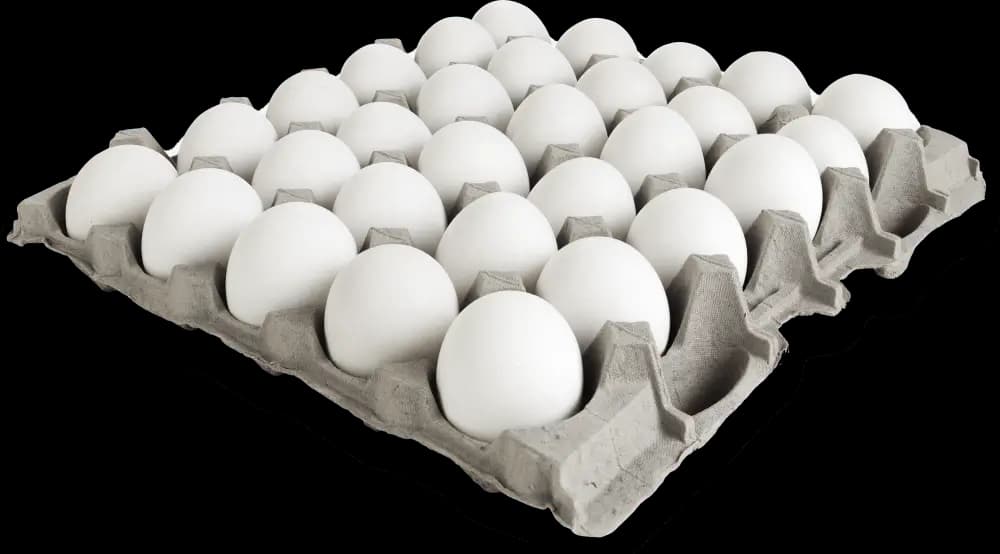 OVOS SAO FRANCISCO BRANCOS TP G 30UN