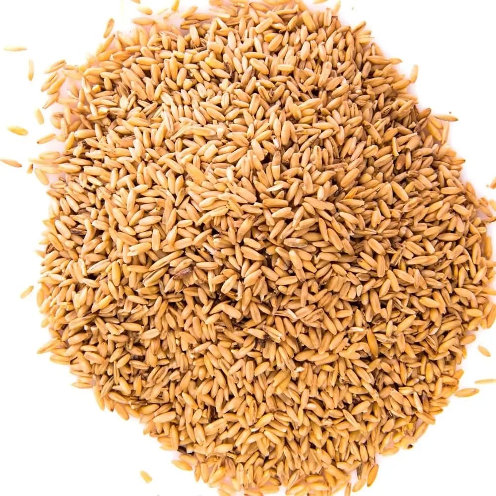 ALPISTE SABOR DO MONTE 500G