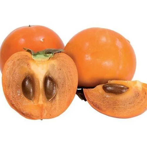 CAQUI CHOCOLATE KG